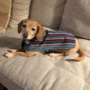 Wholesale 100% Hand-Woven Dog Poncho - Salsa for your store