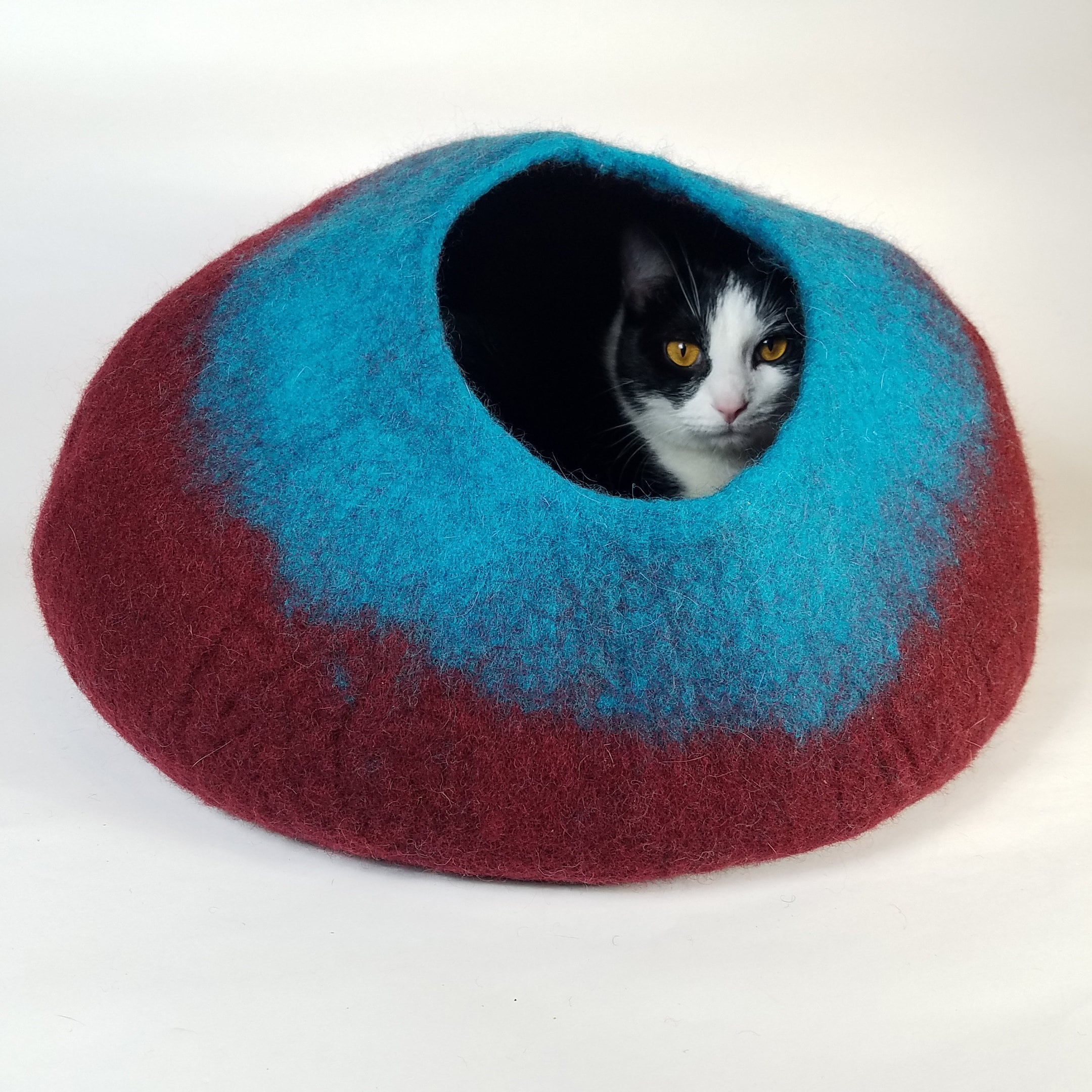 large cat cave