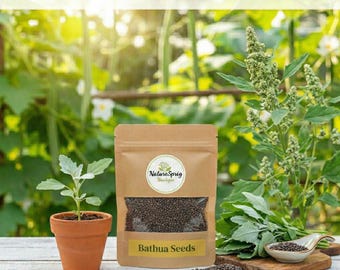 300+ Bathua Seeds (Lamb's Quarters) | Premium Indian Vegetable Seeds