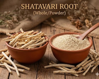 Shatavari Root • Whole / Powder • Asparagus racemosus