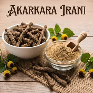 Poudre De Racines Akarkara (Anacyclus Pyrethrum) - 60g à 1kg, Aphrodisiaque Ayurvédique, Neuf