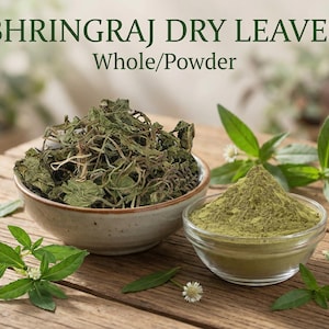 May include: Image of Bhringraj dry leaves, whole and powdered. The whole leaves are in a ceramic bowl, and the powder is in a glass bowl. Green leaves and small white flowers are scattered around the bowls on a wooden surface.