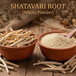 May include: Two terracotta bowls on a wooden surface. One bowl contains whole Shatavari root, the other contains Shatavari powder. A wooden spoon rests in the powder. The text "SHATAVARI ROOT {Whole/Powder}" is at the top.