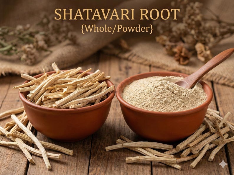 May include: Two terracotta bowls on a wooden surface. One bowl contains whole Shatavari root, the other contains Shatavari powder. A wooden spoon rests in the powder. The text "SHATAVARI ROOT {Whole/Powder}" is at the top.