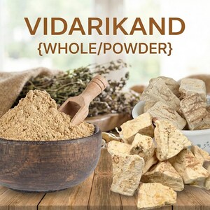 May include: Image of Vidarikand whole and powder. A wooden bowl holds a pile of light brown powder with a wooden scoop. Chunks of Vidarikand are in a white bowl and scattered on a wooden surface. The text "VIDARIKAND {WHOLE/POWDER}" is at the top.