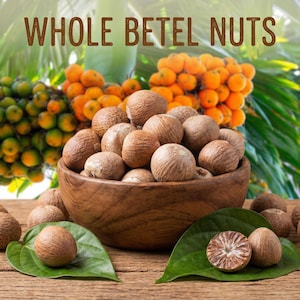 Nueces de betel enteras • Supari de nuez de areca • Hierbas naturales