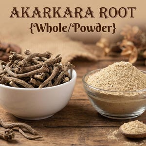 May include: The image displays Akarakara Root, both whole and powdered. The whole root is in a white bowl, while the powder is in a clear glass bowl. The text "AKARKARA ROOT {Whole/Powder}" is at the top of the image.