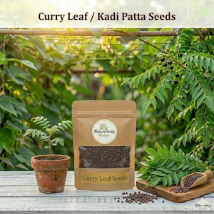 Puede incluir: Una bolsa de papel marrón con semillas de hojas de curry con una ventana transparente, una pequeña planta en maceta y una cuchara de madera con semillas. El texto "Curry Leaf / Kadi Patta Seeds" está en la parte superior.