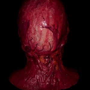 Pu&ograve; includere: Un raccapricciante e realistico oggetto di scena di una testa mozzata, con carne e vene esposte. La testa &egrave; di colore rosso intenso, con una superficie strutturata e uno sfondo scuro. Anche il collo &egrave; visibile.