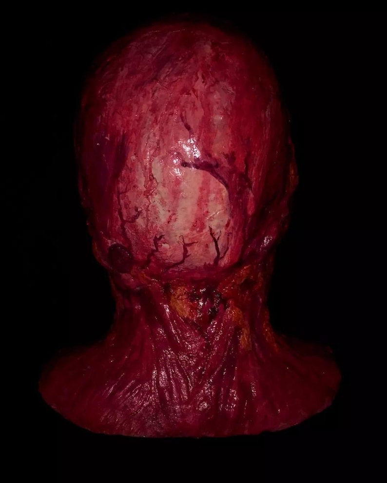 Pu&ograve; includere: Un raccapricciante e realistico oggetto di scena di una testa mozzata, con carne e vene esposte. La testa &egrave; di colore rosso intenso, con una superficie strutturata e uno sfondo scuro. Anche il collo &egrave; visibile.