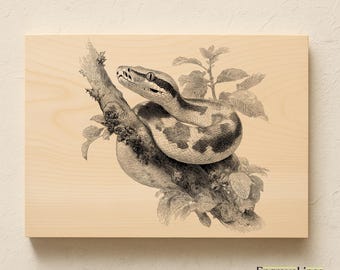 Python Snake Engraving Design PNG SVG JPG | Vintage Python Illustration for Laser Engraving | Wood & Leather Engrave Art | Digital Download