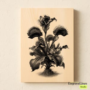 May include: A black and white botanical illustration of a Venus flytrap plant is printed on a light wood panel. The plant's distinctive traps and leaves are detailed, with the text "EngraveLines Studio" in the lower right corner.