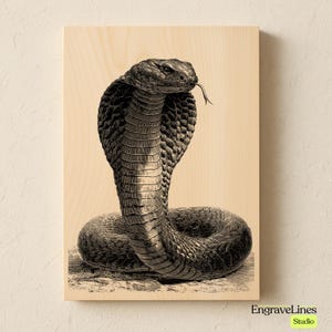 May include: A wooden panel with a detailed monochrome illustration of a cobra snake, hood expanded and tongue extended. The snake is the central image, set against a light beige backdrop. The text "EngraveLines Studio" is in the lower right corner.