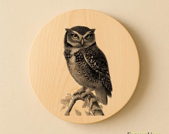Owl Laser Engraving File | Wildlife Illustration (SVG, PNG, JPG)