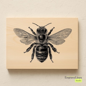 May include: A black and white illustration of a bee is printed on a light-colored wooden plaque. The bee is depicted with detailed wings, legs, and body segments. The text "EngraveLines Studio" is in the bottom right corner.