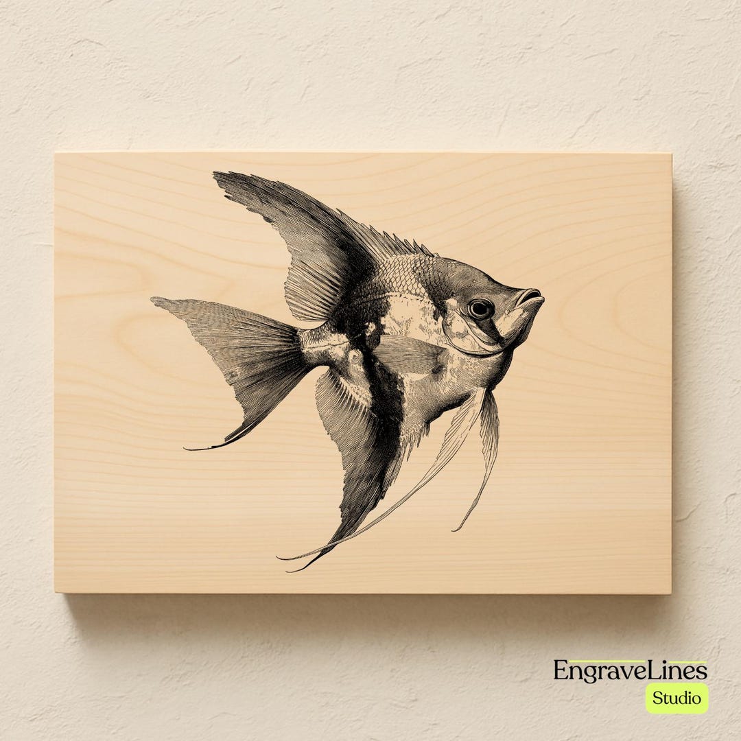 Angelfish Laser Engraving File | Vintage Marine Life Design SVG PNG JPG ...