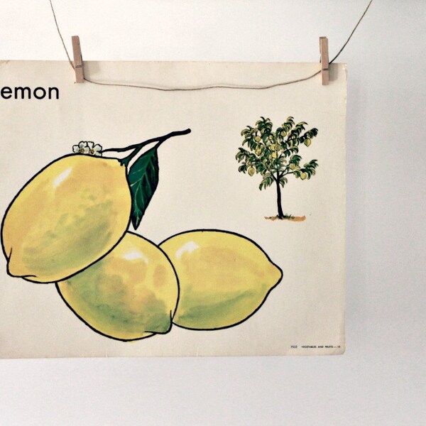 Vintage-Flash-Karte große Zitrone Obst