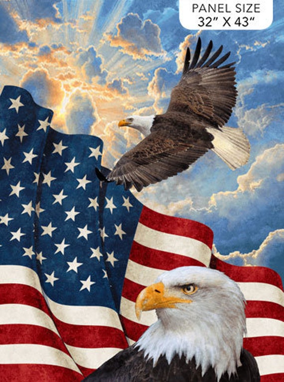 Northcott Stars Stripes 10th Anniversary Digital Panel Etsy