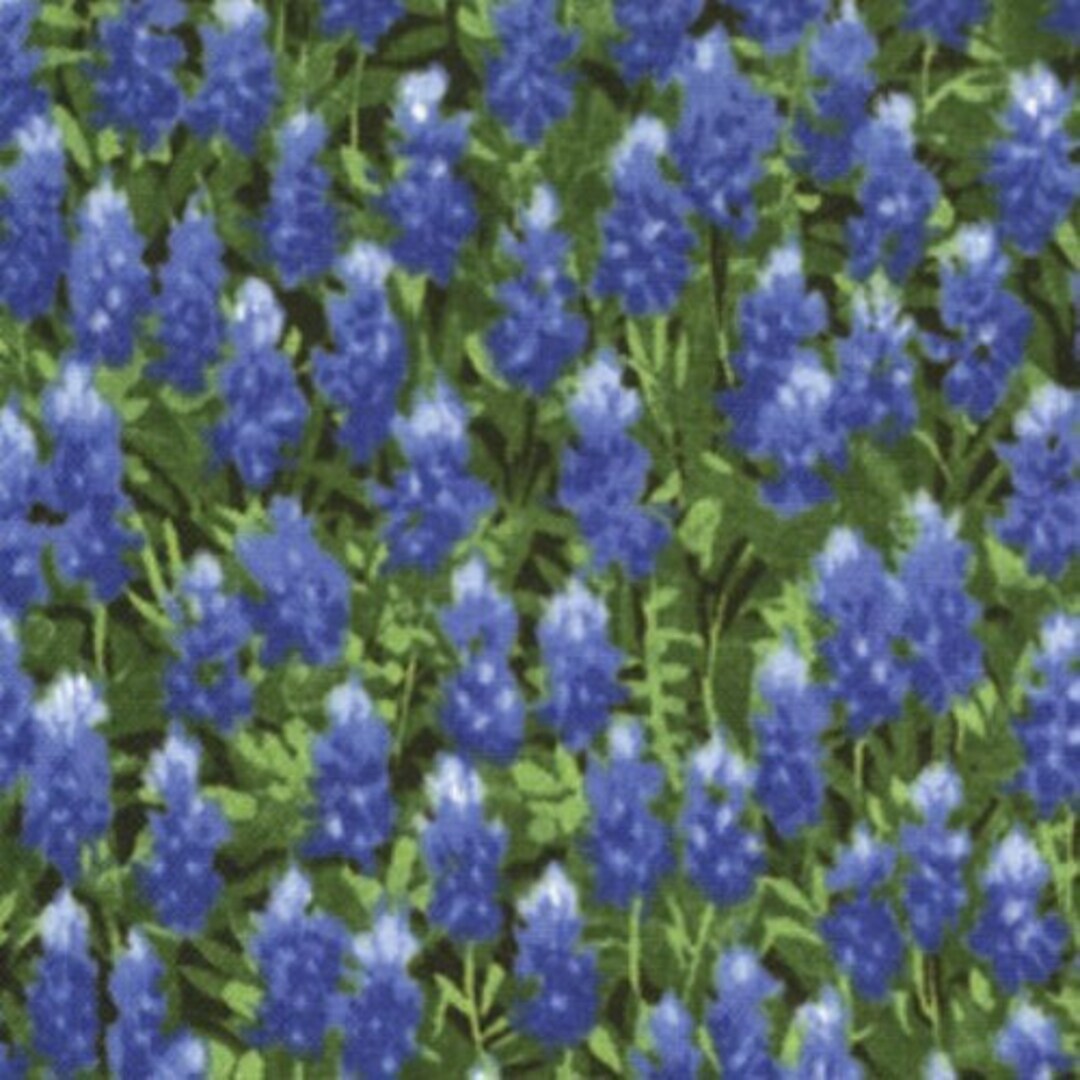 Texas Wildflowers IV Moda Fabric by the Yard 100 Quilt Weight Etsy
