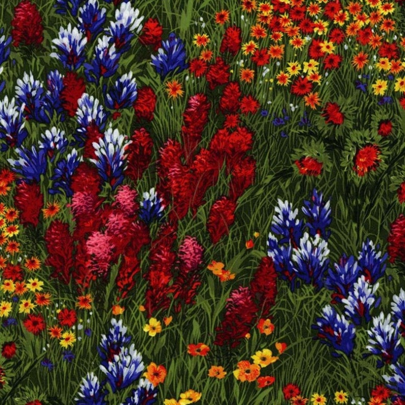 TEXAS WILDFLOWERS Michael Miller fabric by the 1/2 yard Etsy