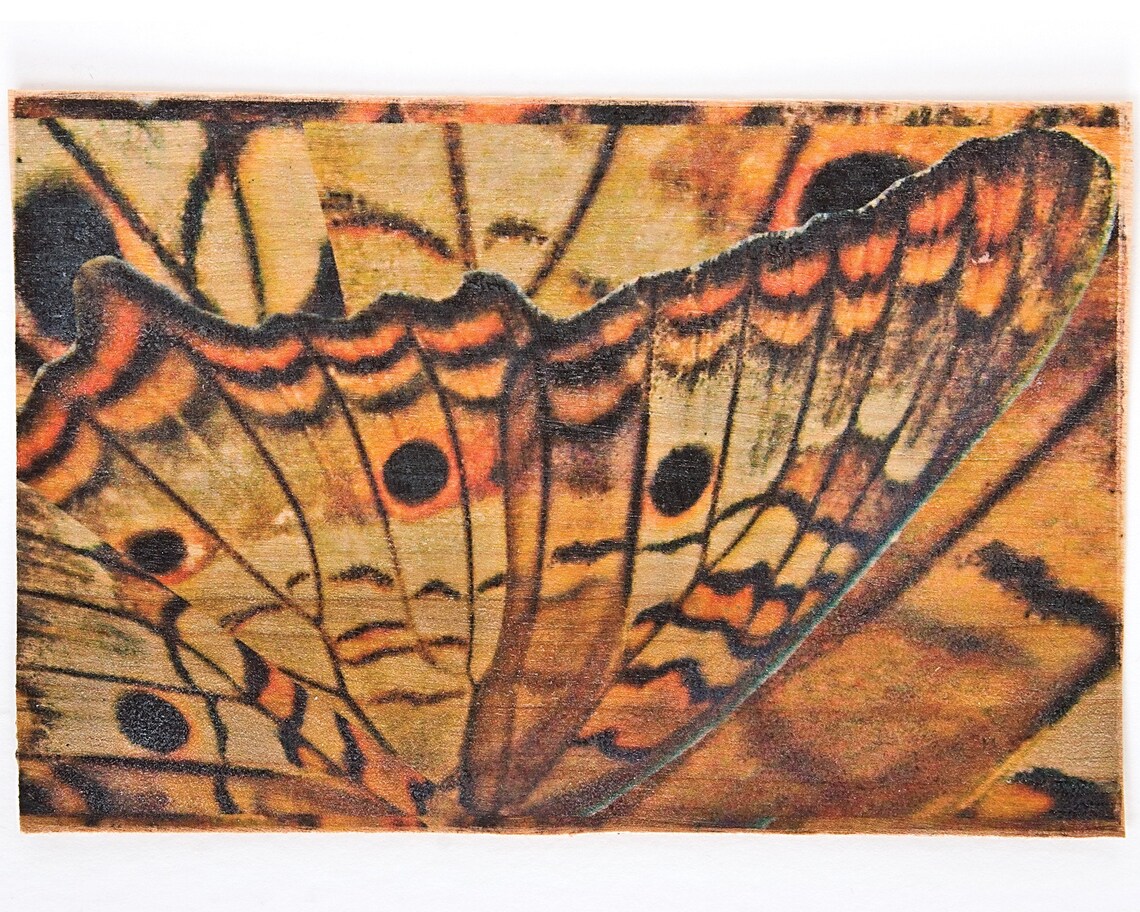 Lesley Riley's TAP Transfer Artist Paper 5pk 20139TP 5 Etsy
