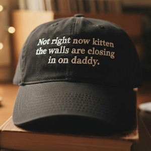 Not Right Now Kitten Washed Cap, Relatable Quote Dad Hat, Stressed Dad Cap, Sarcastic Humor Gift