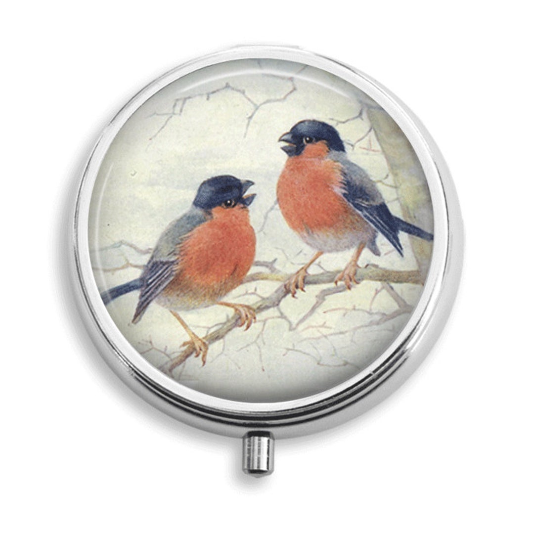 Pill Box Pill Case American Robin Birds on Branch Pill Holder Etsy