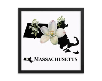 Massachusetts Art Print With State Flower, The Mayflower, Framed Print, MA Map Gifts, Map Print, Home Decor, Wall Art, Wedding Gifts