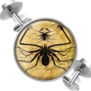 May include: A pair of silver cufflinks with a round glass cabochon featuring a vintage illustration of a spider on a yellowed paper background. The spider has long legs and a dark body. The background has text and a decorative pattern.