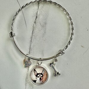 Pet Charm Bracelet, Dogs, Cats, Animals, Puppy, Kitten, Bangle Cuff Bracelet Jewelry Stainless Steel Bracelet