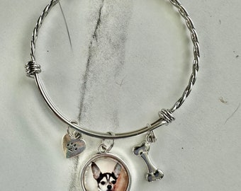 Pet Charm Bracelet, Dogs, Cats, Animals, Puppy, Kitten, Bangle Cuff Bracelet Jewelry Stainless Steel Bracelet