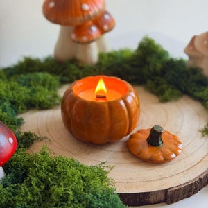 Può includere: Un contenitore per candele in ceramica a forma di zucca con finitura arancione lucida e stoppino in legno acceso. Il coperchio abbinato con un picciolo verde scuro è posizionato accanto. Il contenitore è rotondo con scanalature verticali.