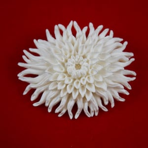 Vintage 1950's Collectables - Etsy