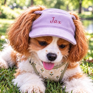 Può includere: Una visiera per animali domestici in velluto a coste viola chiaro con il nome Jax ricamato in filo rosa scuro sul davanti. La visiera presenta una tesa strutturata ed è indossata da un cane marrone e bianco con una pettorina beige a fiori.