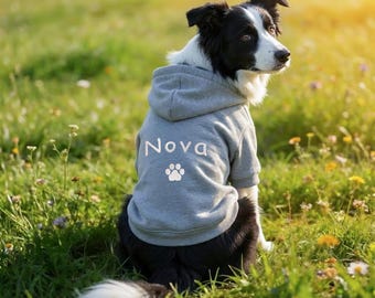 Custom Embroidered Dog Hoodie, Personalized Pet Sweatshirt, Cozy Fall & Winter Clothing for Dogs