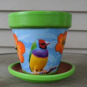 Återvunnen exotisk tropisk fågel dekorativ decoupage blomkruka och fat
