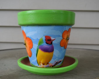 Up-Cycled Exotic Tropical Bird Decorative Decoupage Flower Pot and Saucer