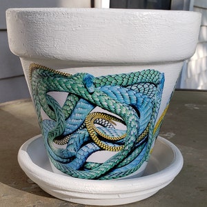 Exotic Snake Decorative Decoupage Flower Pot and Saucer in White