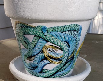 Exotic Snake Decorative Decoupage Flower Pot and Saucer in White