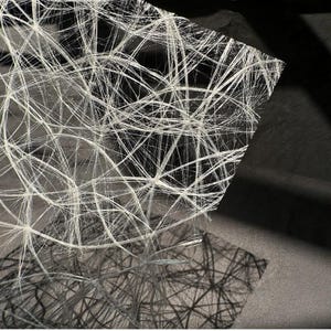 Könnte beinhalten: Abstrakte Kunst mit einem komplexen Netzwerk weißer Linien vor einem dunkelgrauen Hintergrund. Die Linien schneiden sich und überlappen sich und erzeugen ein netzartiges Muster. Das Bild hat einen hohen Kontrast mit starken Schatten und Lichtern.