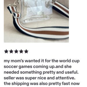 Small Clear Stadium Bag Concert Approved Crossbody Transparent Vinyl Security Pouch Game Day Festival Event Essential Small Clear Handbag image 2