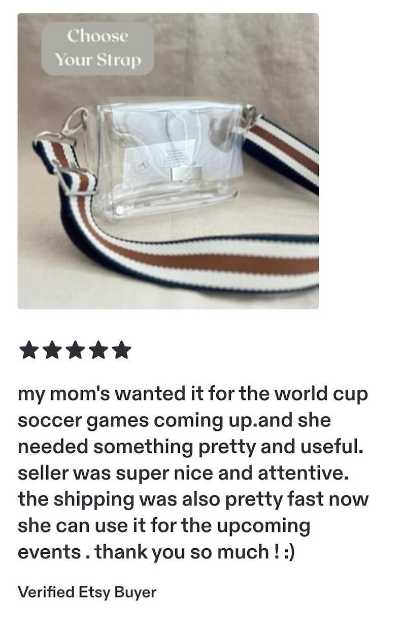 Small Clear Stadium Bag Concert Approved Crossbody Transparent Vinyl Security Pouch Game Day Festival Event Essential Small Clear Handbag image 2