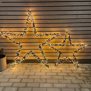 zimmerpflanzen adventskalender Pflanzen Adventskalender main image 1