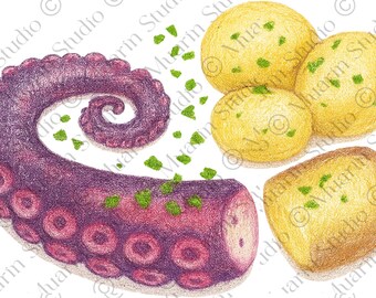 Restaurantmenu Eten, png PNGE – Gegrilde octopus Polvo a Lagareiro, kleurpotlood, transparante png (digitale download)