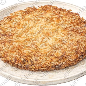 May include: A detailed illustration of a golden-brown, crispy hash brown patty on a light gray plate. The hash brown has a textured surface and is round in shape. The plate has a simple, slightly raised edge.