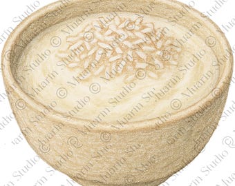 Dessert Sticker PNG – Coconut Sweet Treat Clipart, Colored Pencil, Transparent PNG (Digital Download)