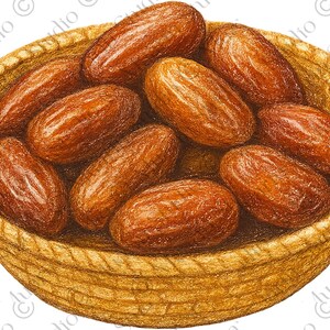 Restaurant Menu Food PNG – Date Basket, Colored Pencil, Transparent PNG (Digital Download)