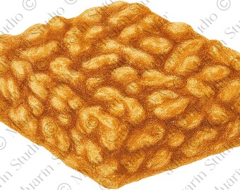 Bakkerijdessert, png-bestand – Gozinaki-honing, walnootbros, kleurpotlood, transparante png (digitale download)