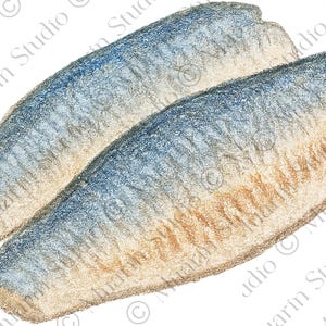May include: Two fillets of fish, likely mackerel, are depicted in a detailed illustration. The fish have a blue-grey hue on top, transitioning to a tan color on the underside. The image is a close-up, showcasing the texture and details of the fish.