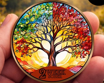 Regalo de aniversario de sobriedad / Moneda personalizada del Árbol de la Vida para la sobriedad / Medallón de AA / Hito de recuperación